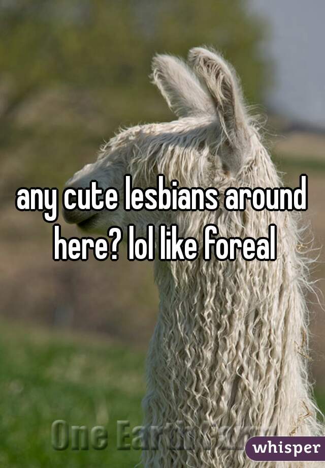 any cute lesbians around here? lol like foreal