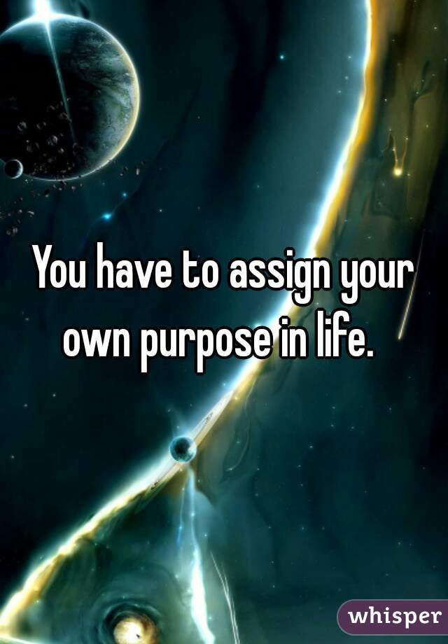 You have to assign your own purpose in life.  