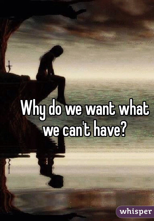 Why do we want what we can't have? 