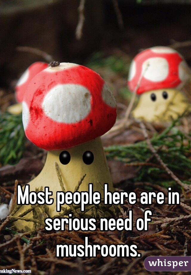 Most people here are in serious need of mushrooms. 
