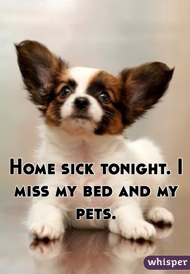 Home sick tonight. I miss my bed and my pets.