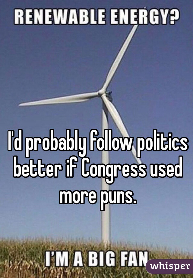 I'd probably follow politics better if Congress used more puns.