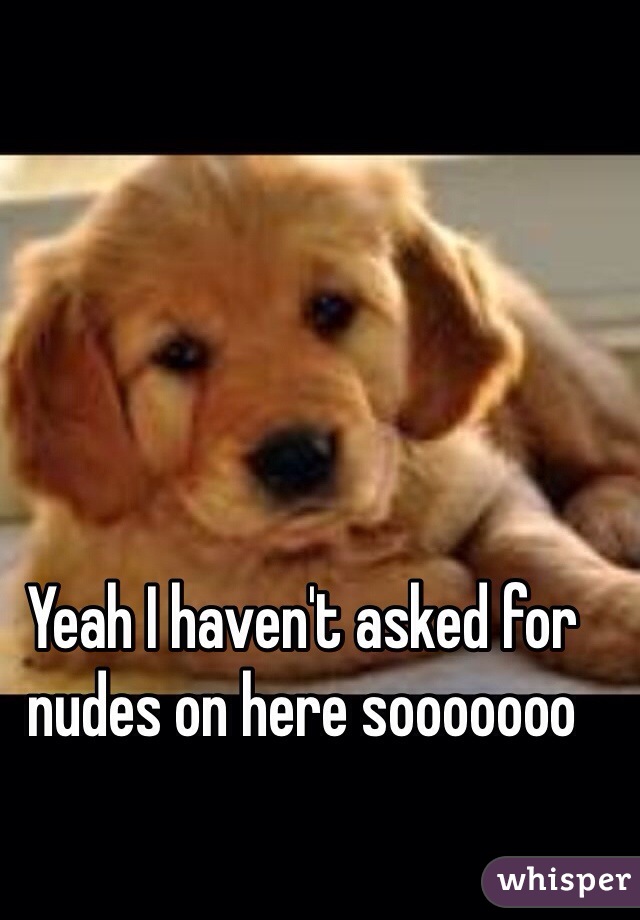 Yeah I haven't asked for nudes on here sooooooo