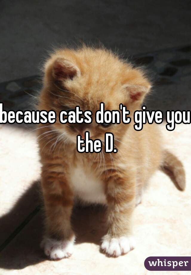 because cats don't give you the D.