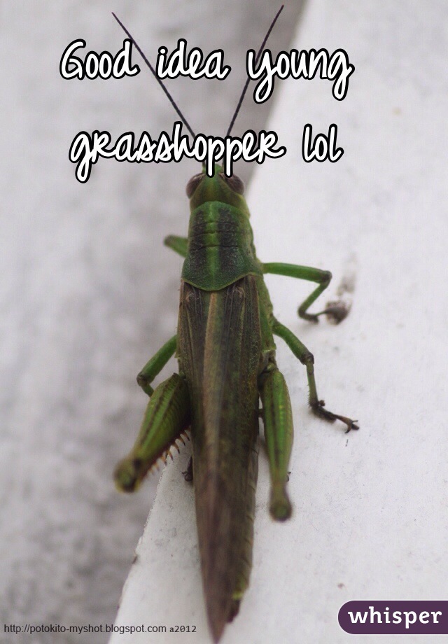 Good idea young grasshopper lol  