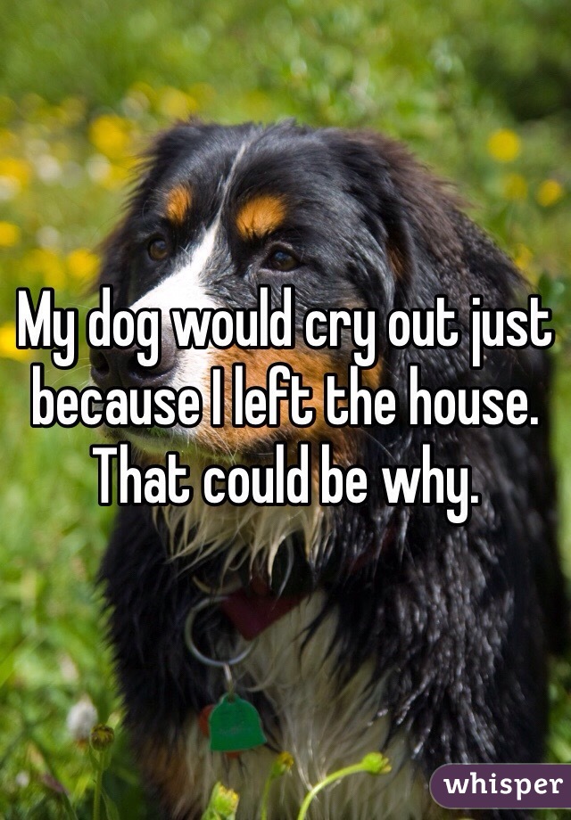 My dog would cry out just because I left the house. That could be why. 