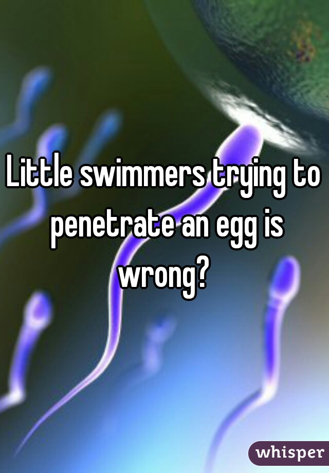 Little swimmers trying to penetrate an egg is wrong? 