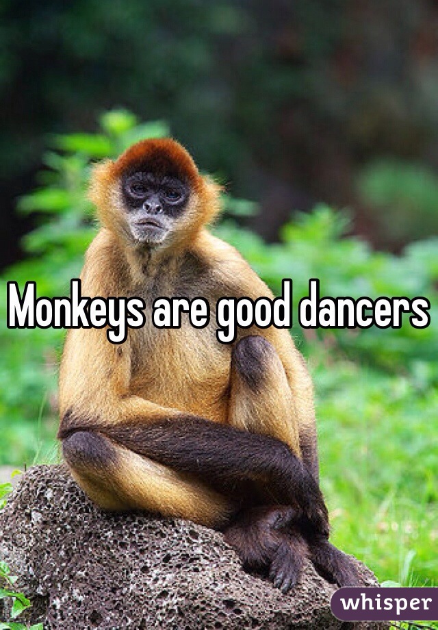 Monkeys are good dancers