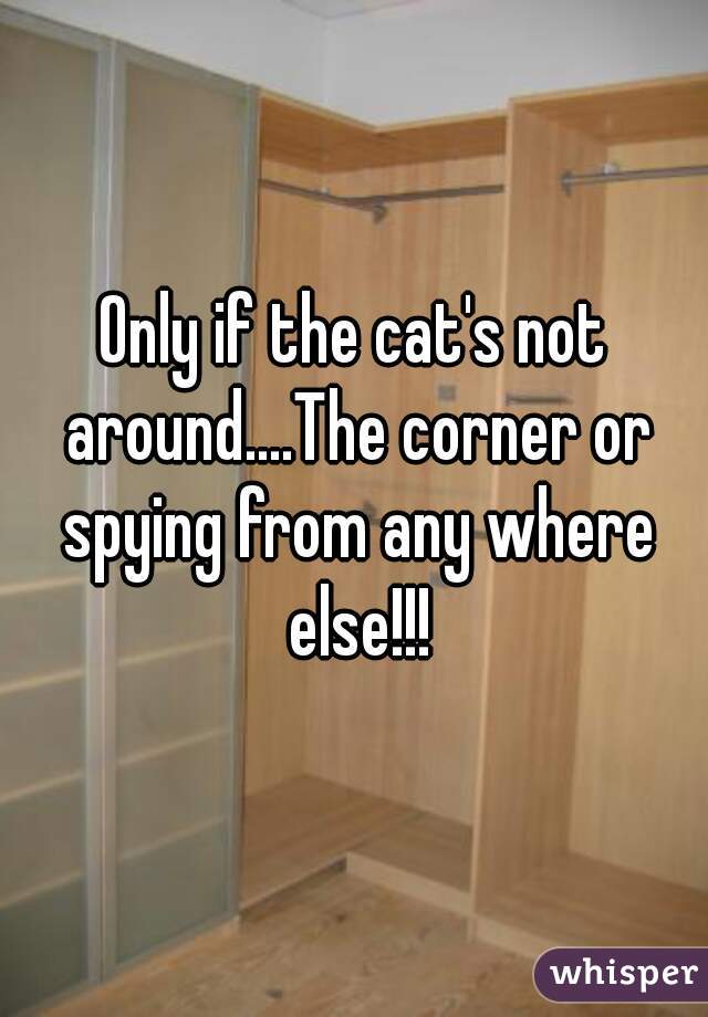 Only if the cat's not around....The corner or spying from any where else!!!