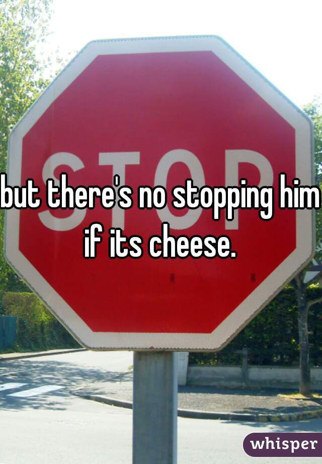 but there's no stopping him if its cheese. 