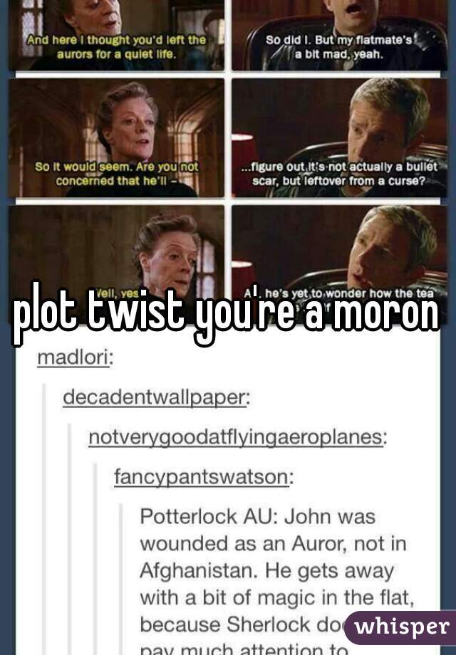 plot twist you're a moron