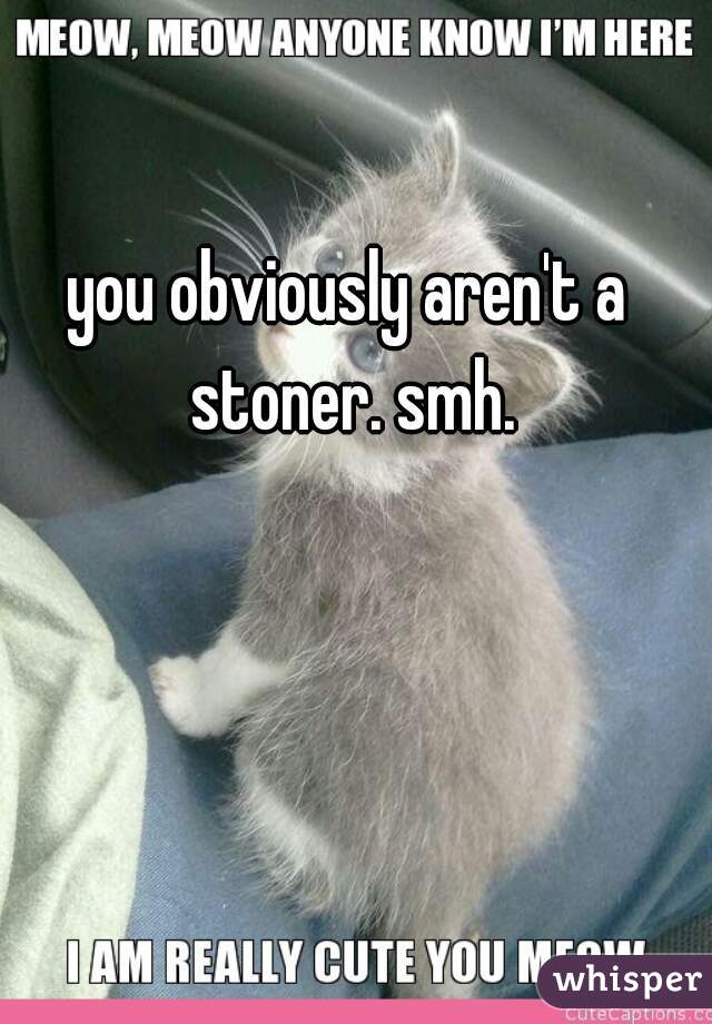 you obviously aren't a stoner. smh.