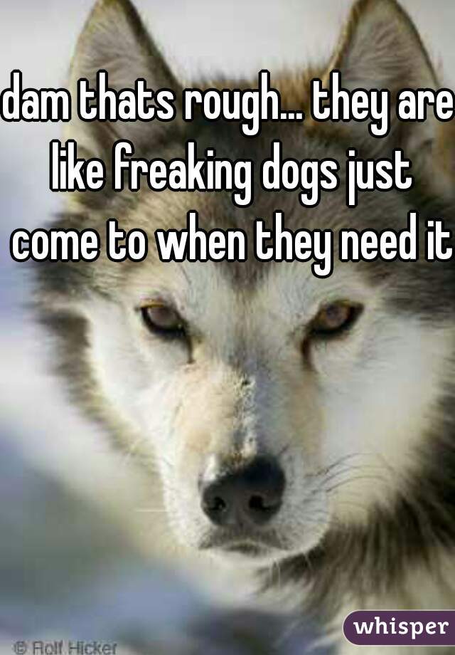 dam thats rough... they are like freaking dogs just come to when they need it
