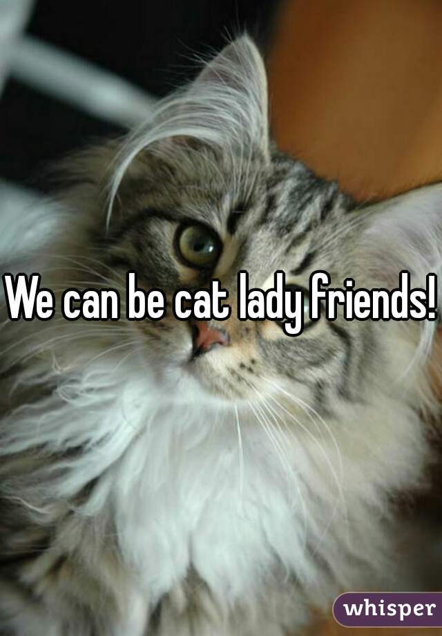 We can be cat lady friends! 