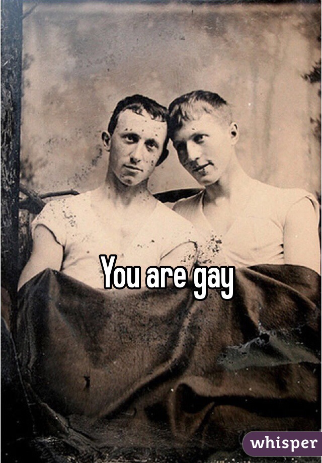 You are gay 