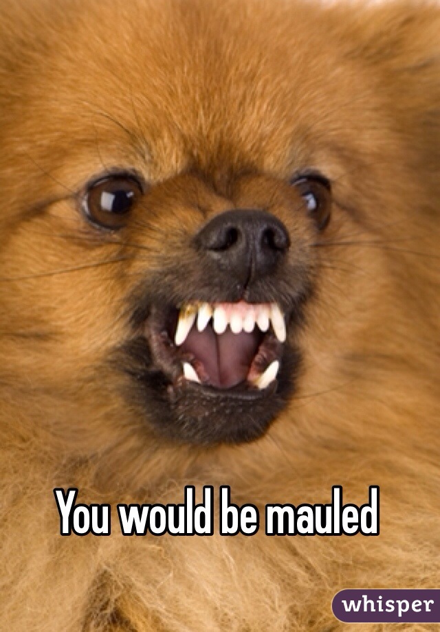 You would be mauled 