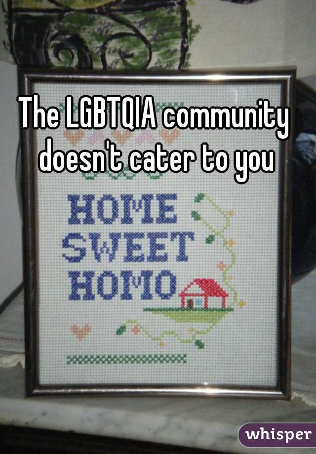 The LGBTQIA community doesn't cater to you