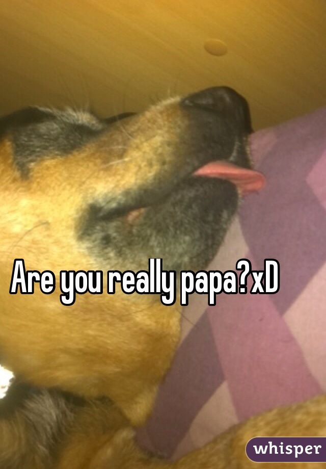 Are you really papa?xD
