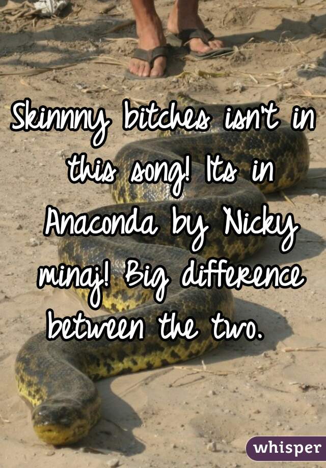 Skinnny bitches isn't in this song! Its in Anaconda by Nicky minaj! Big difference between the two.  