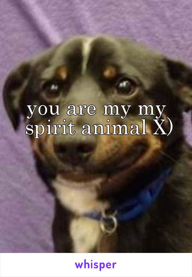 you are my my spirit animal X)