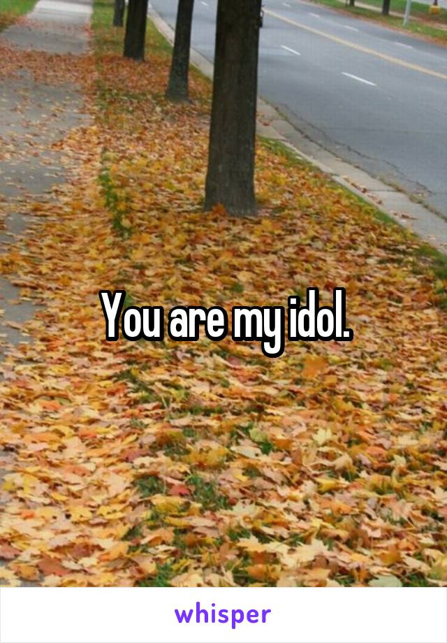 You are my idol.