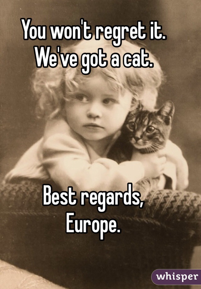You won't regret it. 
We've got a cat. 




Best regards, 
Europe.