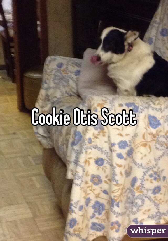 Cookie Otis Scott 