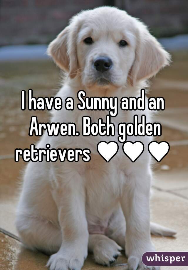 I have a Sunny and an Arwen. Both golden retrievers ♥♥♥ 