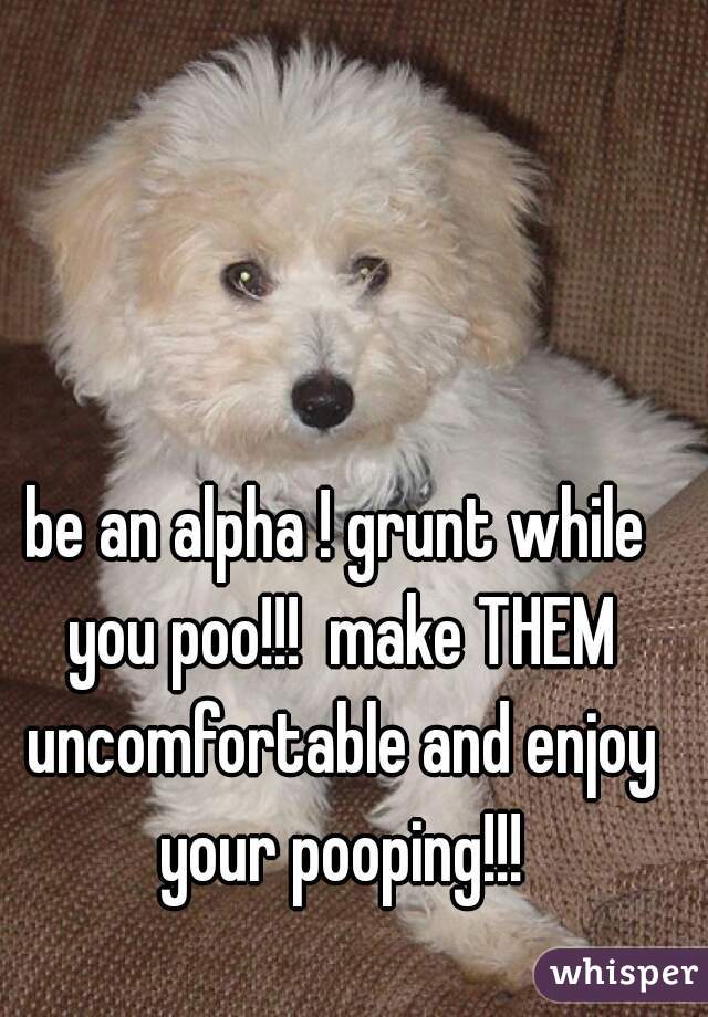 be an alpha ! grunt while you poo!!!  make THEM uncomfortable and enjoy your pooping!!!