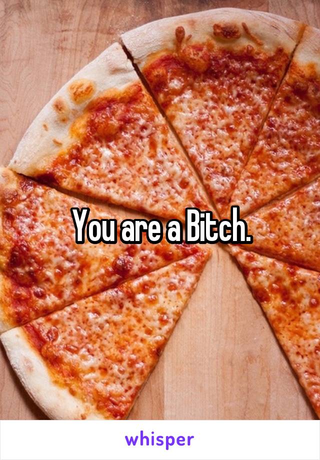 You are a Bitch.