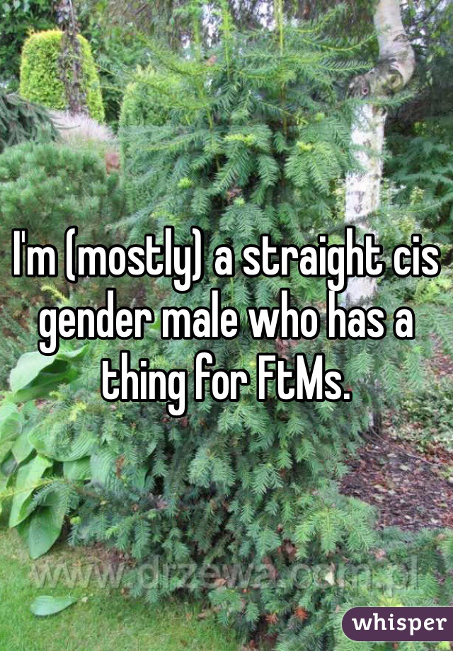 I'm (mostly) a straight cis gender male who has a thing for FtMs.