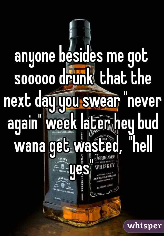 anyone besides me got sooooo drunk  that the next day you swear "never again" week later hey bud wana get wasted,  "hell yes" 