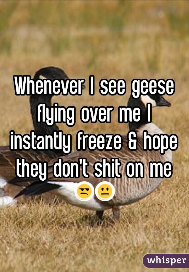 Whenever I see geese flying over me I instantly freeze & hope they don't shit on me 😒😐