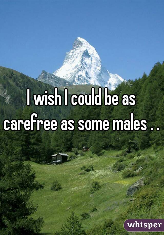 I wish I could be as carefree as some males . . 
