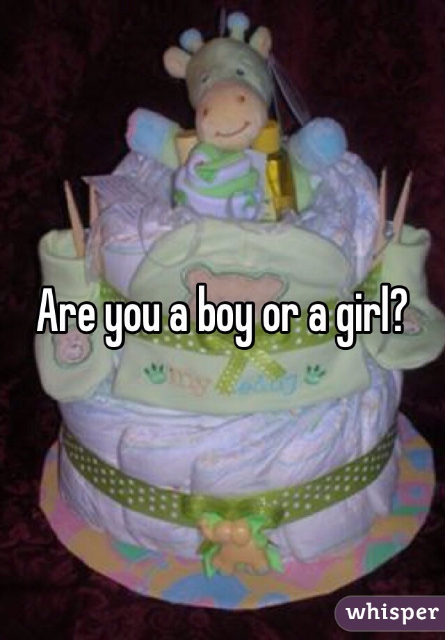 Are you a boy or a girl? 