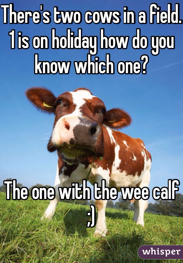 There's two cows in a field. 
1 is on holiday how do you know which one? 




The one with the wee calf 
;) 
