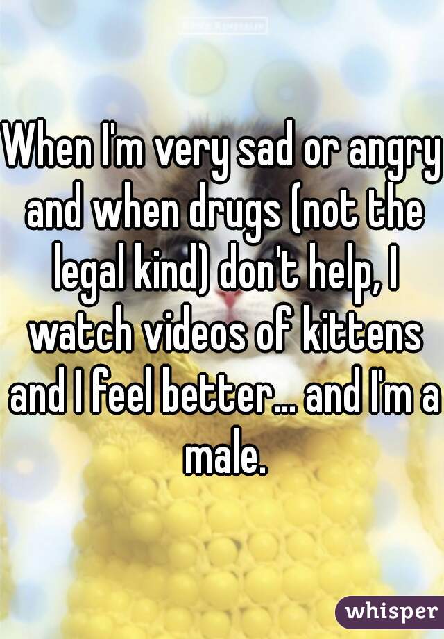 When I'm very sad or angry and when drugs (not the legal kind) don't help, I watch videos of kittens and I feel better... and I'm a male.