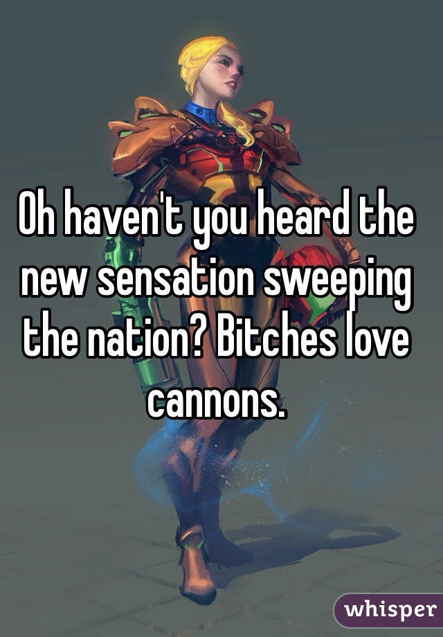 Oh haven't you heard the new sensation sweeping the nation? Bitches love cannons. 