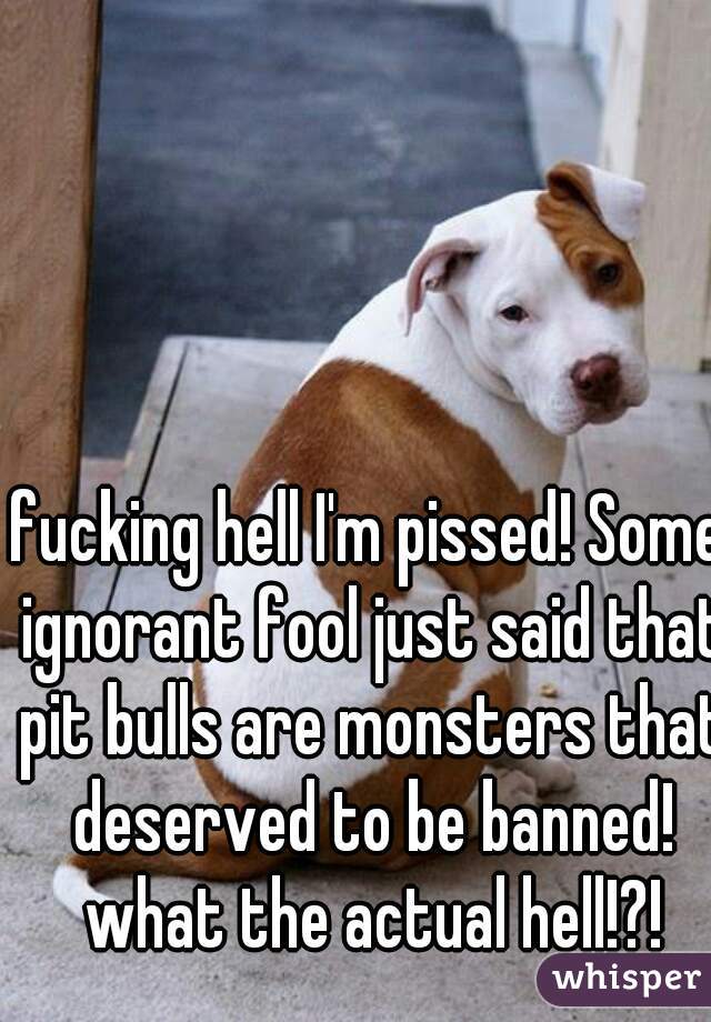 fucking hell I'm pissed! Some ignorant fool just said that pit bulls are monsters that deserved to be banned! what the actual hell!?!