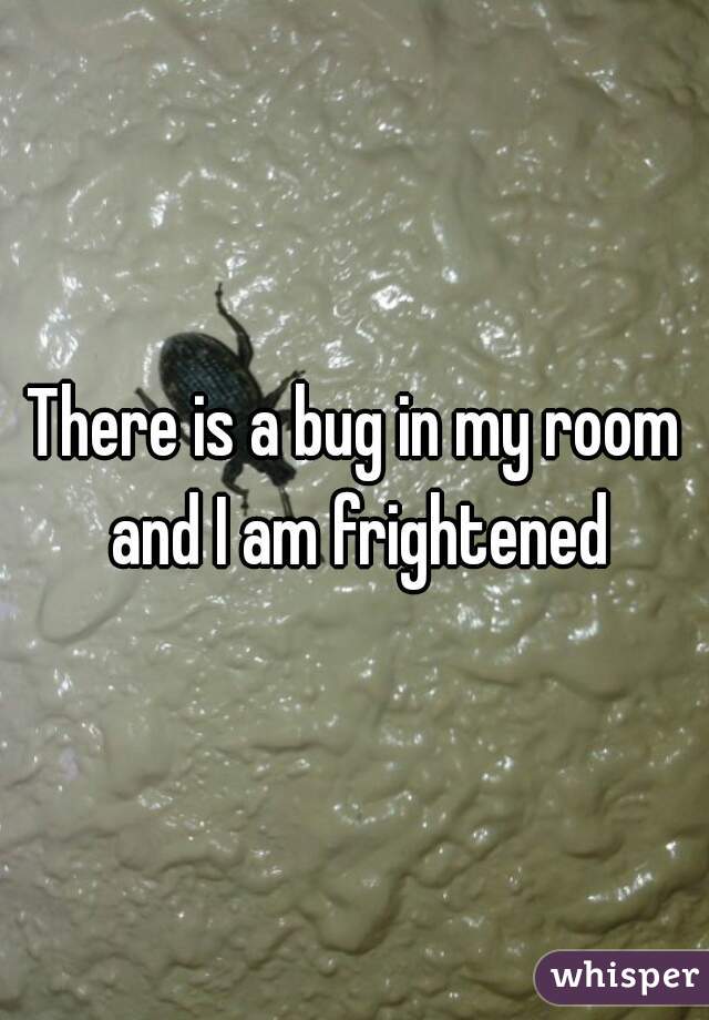 There is a bug in my room and I am frightened