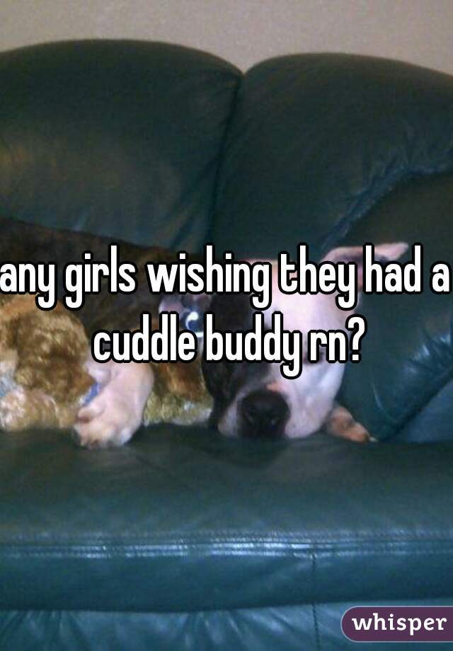 any girls wishing they had a cuddle buddy rn?