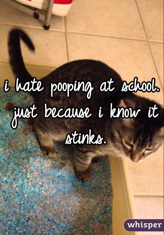 i hate pooping at school. just because i know it stinks.