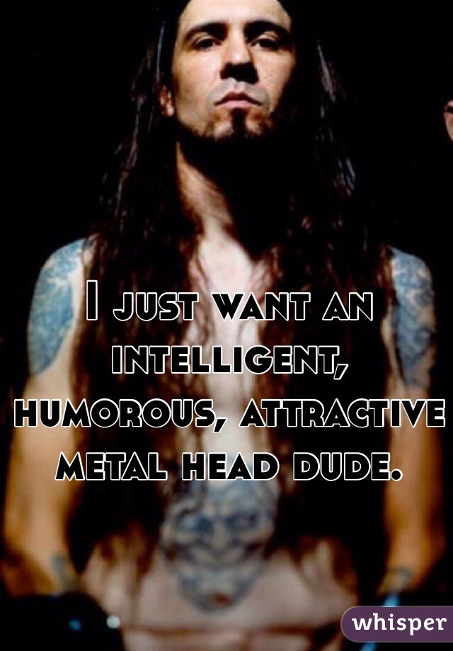 I just want an intelligent, humorous, attractive metal head dude. 