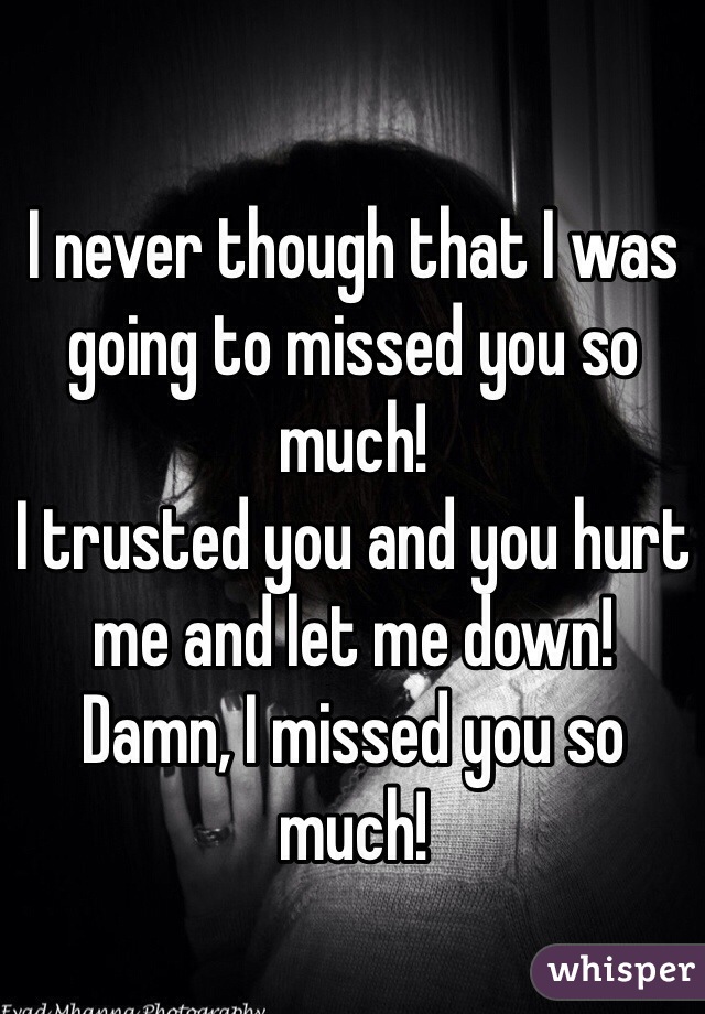 I never though that I was going to missed you so much! 
I trusted you and you hurt me and let me down! 
Damn, I missed you so much!