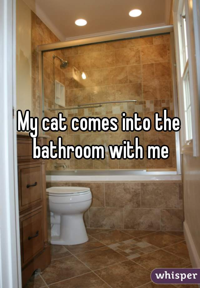 My cat comes into the bathroom with me