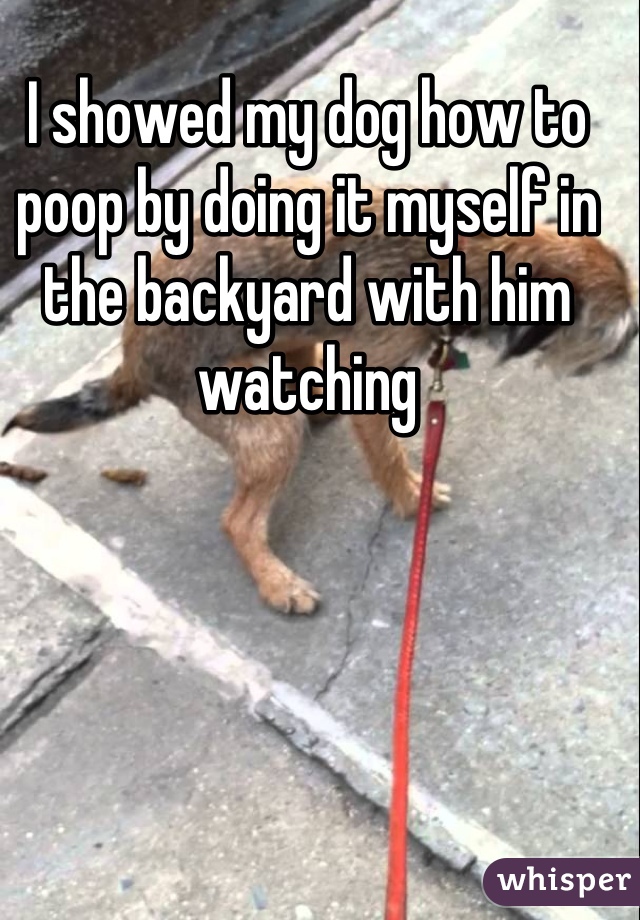 I showed my dog how to poop by doing it myself in the backyard with him watching