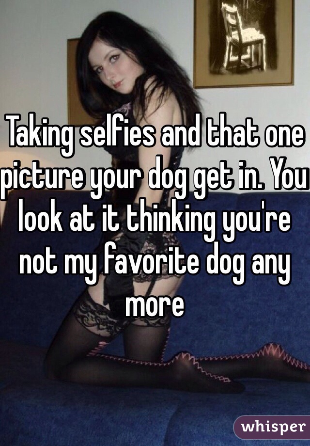 Taking selfies and that one picture your dog get in. You look at it thinking you're not my favorite dog any more