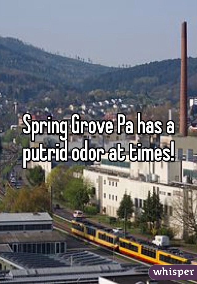 Spring Grove Pa has a putrid odor at times!