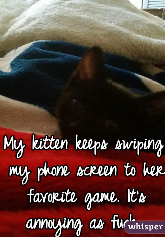 My kitten keeps swiping my phone screen to her favorite game. It's annoying as fuck. 