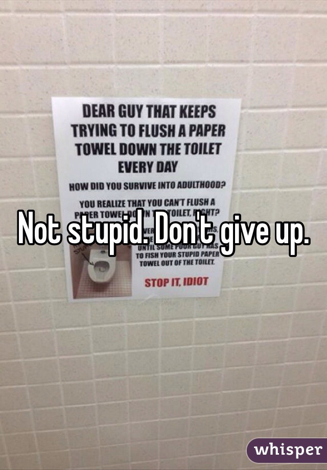 Not stupid. Don't give up. 